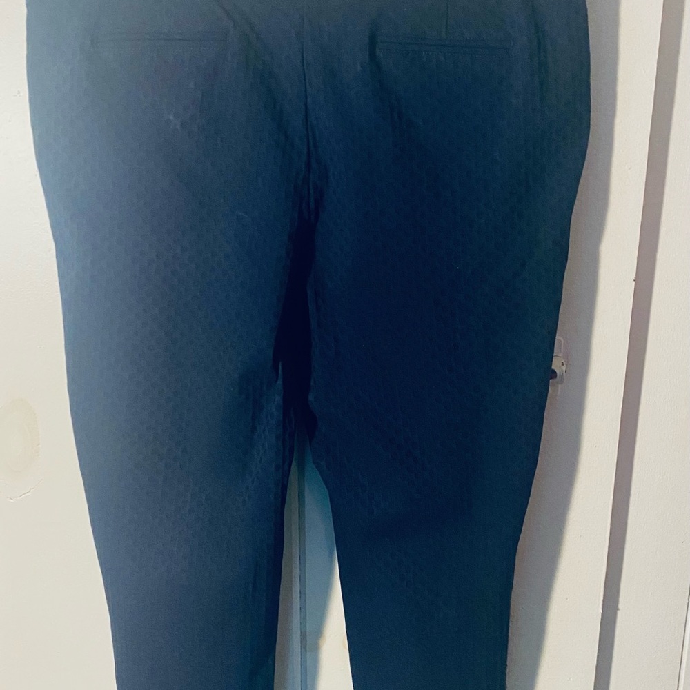 Navy Textured Pants with Gold Accents